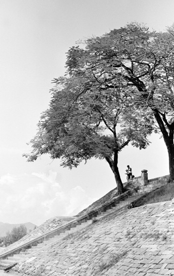 фото "The reader-Hue 2001" метки: разное, 