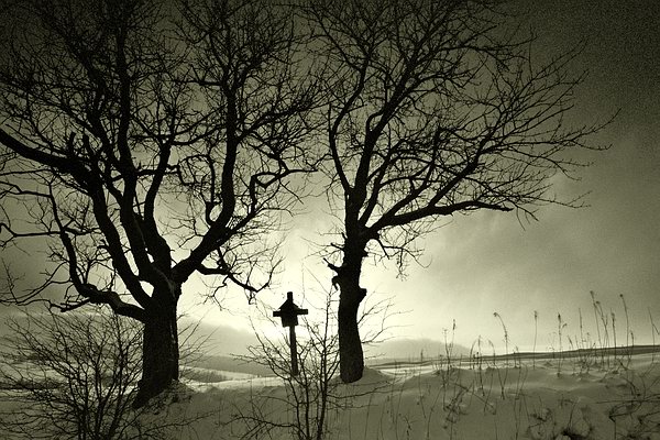 photo "At way II" tags: landscape, black&white, sunset