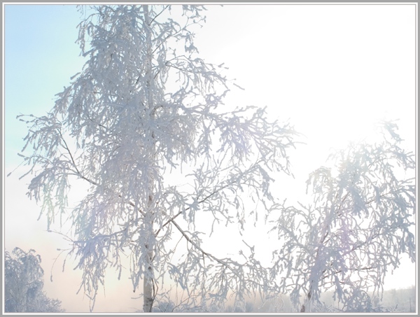 photo "Январский мороз" tags: landscape, winter