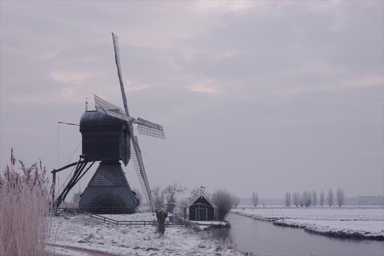 фото "Typical Dutch." метки: пейзаж, зима