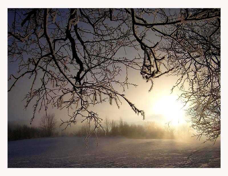 photo "Winter etude IV on Dragvoll" tags: landscape, winter