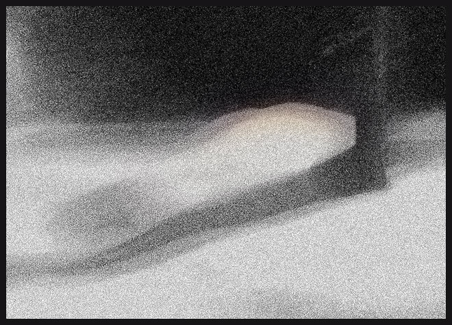 photo "Antland" tags: montage, 