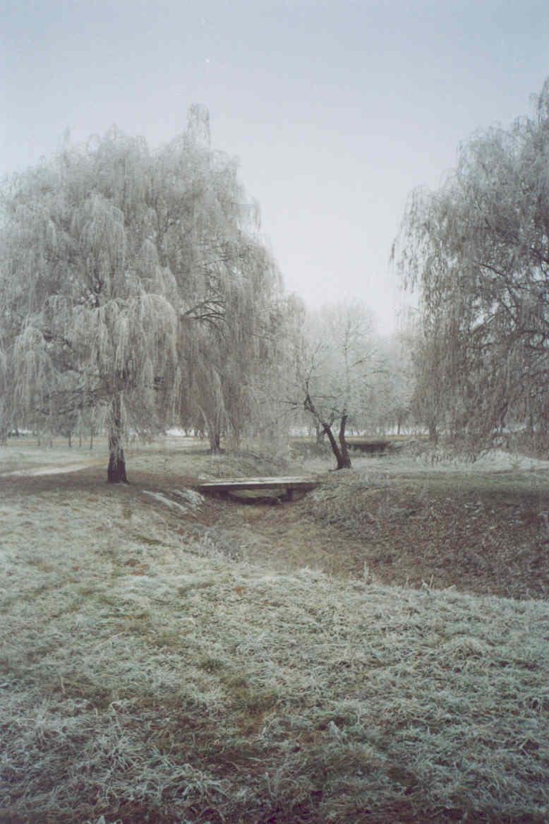 photo "genius loci" tags: landscape, winter