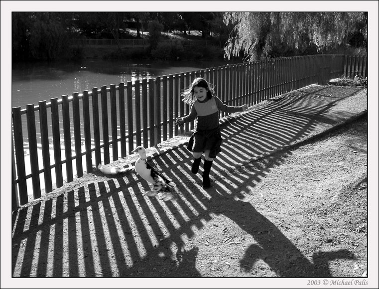 photo "Chasing the duck!!" tags: black&white, misc., 