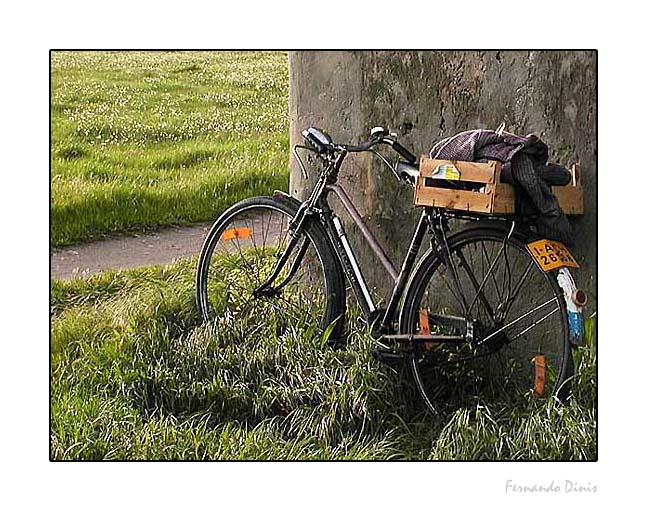 photo "Bicycle waiting" tags: still life, genre, 