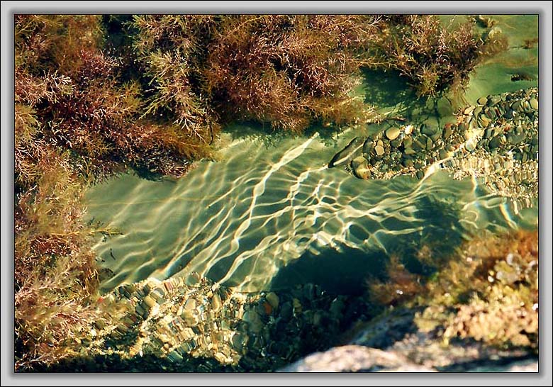 фото "Вода" метки: пейзаж, вода
