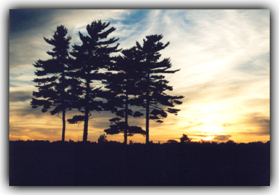 photo "Patterns of a Sunset" tags: landscape, clouds, sunset