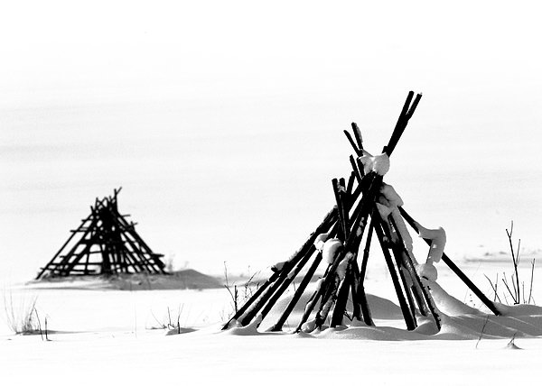 photo "x   X" tags: landscape, black&white, winter