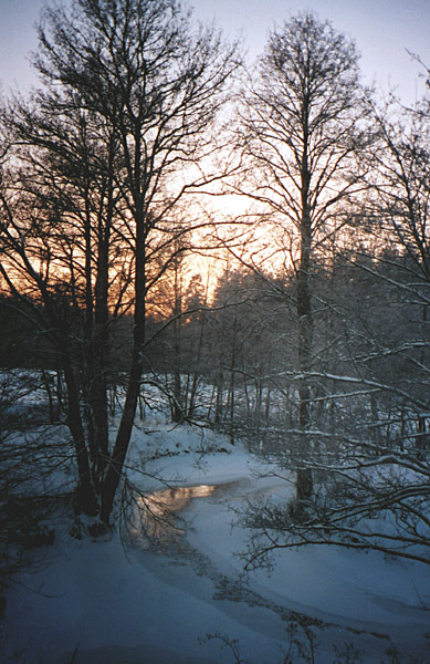 photo "Evening. Winter." tags: landscape, sunset, winter