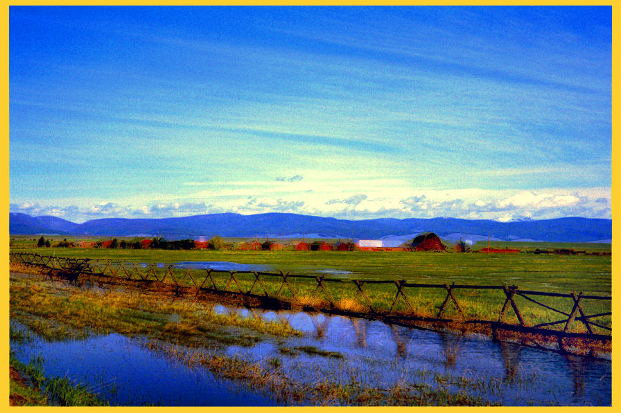 photo "Distorted Duck Farm" tags: landscape, travel, North America, water