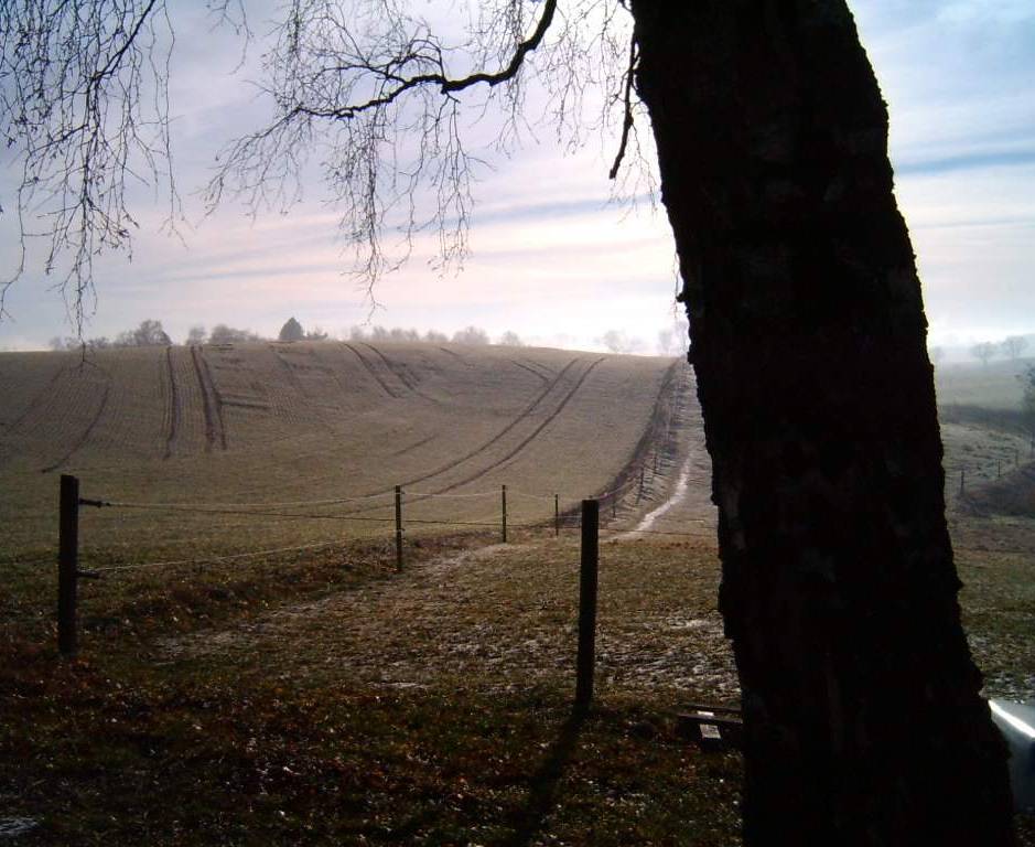 photo "Landscabe" tags: nature, 