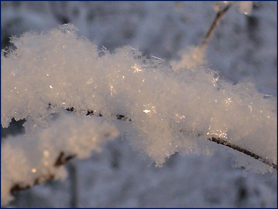 photo "***" tags: landscape, macro and close-up, winter