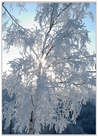 фото "Морозная  зима" метки: пейзаж, природа, зима