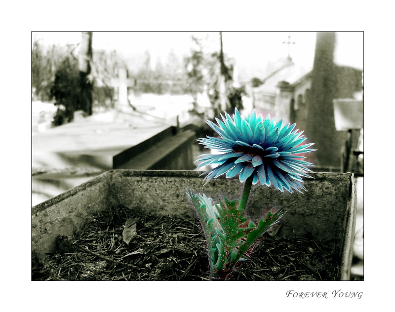 photo "Forever Young" tags: montage, black&white, 