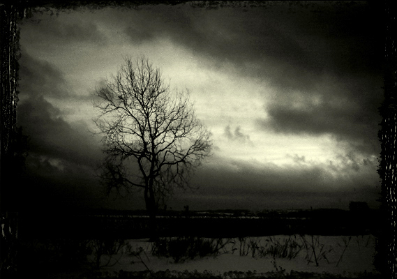 photo "Solitude..." tags: black&white, landscape, winter