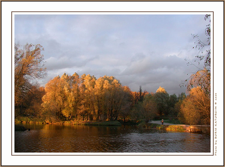 photo "Gilding" tags: landscape, forest, sunset