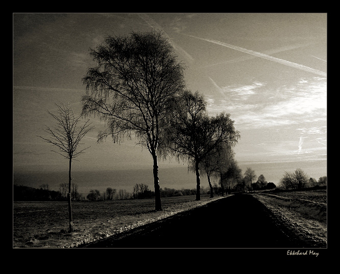 photo "[...]" tags: landscape, winter