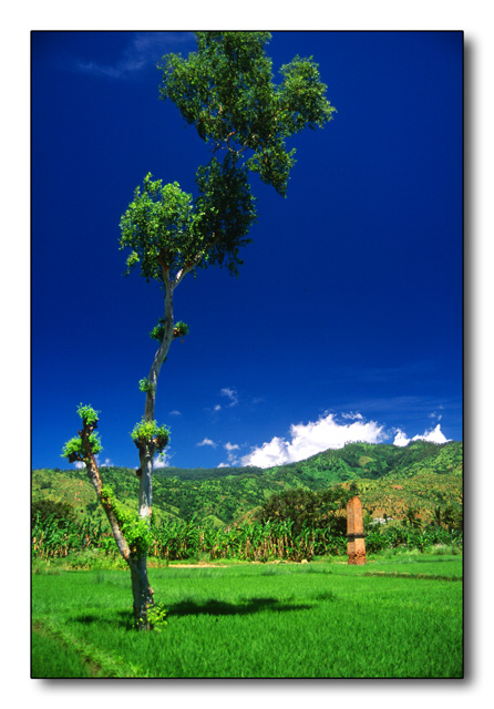 photo "Chimney" tags: landscape, travel, Asia