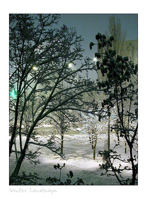 photo "winter night" tags: landscape, night, winter
