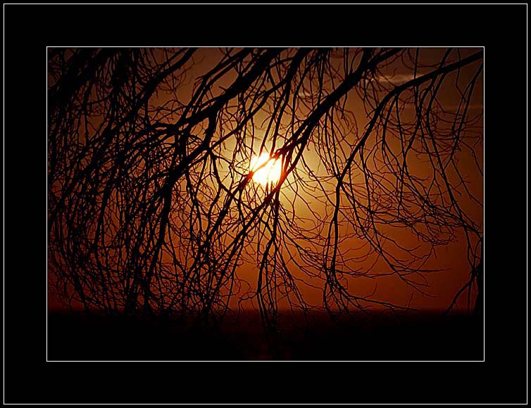 фото "Тёплые штрихи" метки: пейзаж, закат