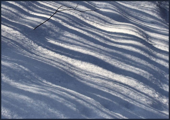 фото "Снег и тени." метки: пейзаж, природа, зима
