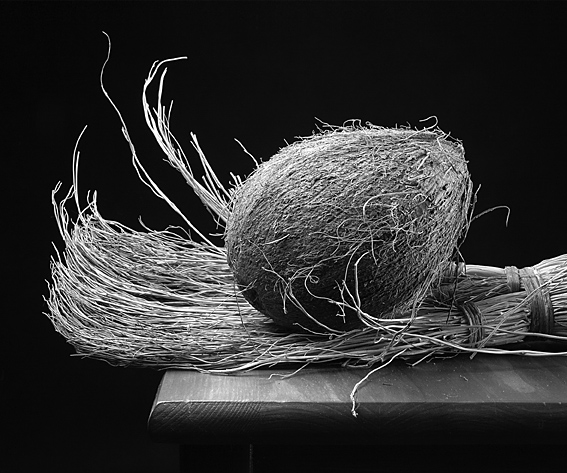 photo "Dry Brush" tags: abstract, black&white, 