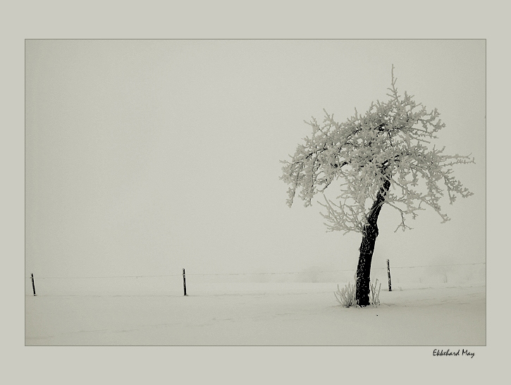 photo "longing" tags: landscape, winter