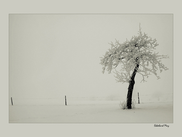 фото "longing" метки: пейзаж, зима