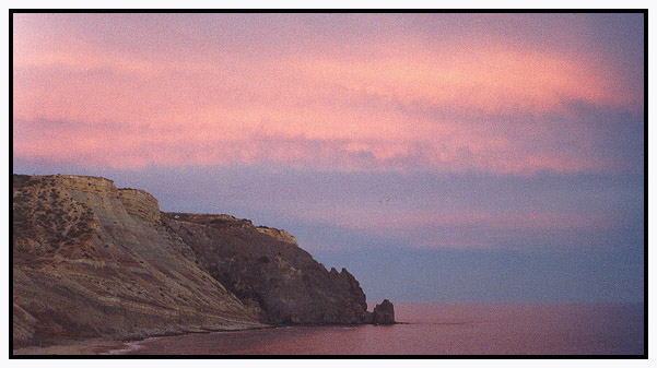 фото "Pink #1" метки: природа, 