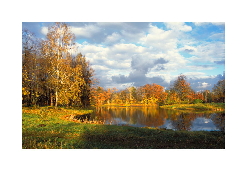 фото "Все цвета осени" метки: разное, 