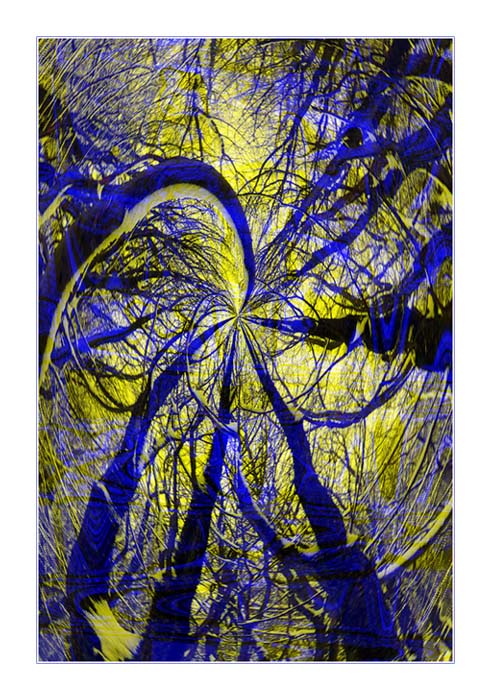 photo "Alice in Wonderland" tags: abstract, landscape, forest