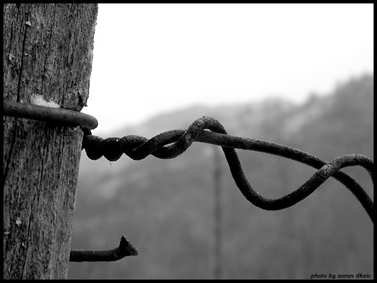 photo "String" tags: macro and close-up, abstract, 