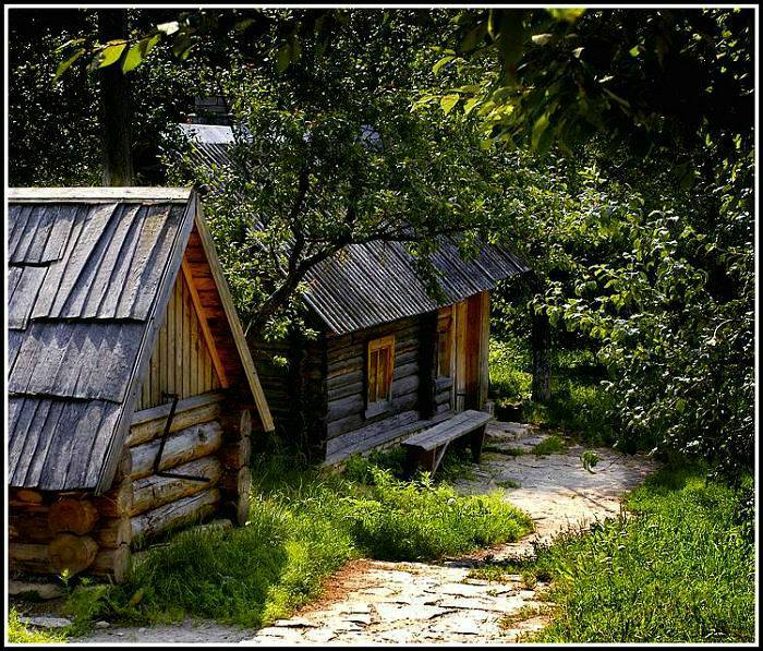 photo "Russian small bath-house,well,secluded nook" tags: landscape, summer