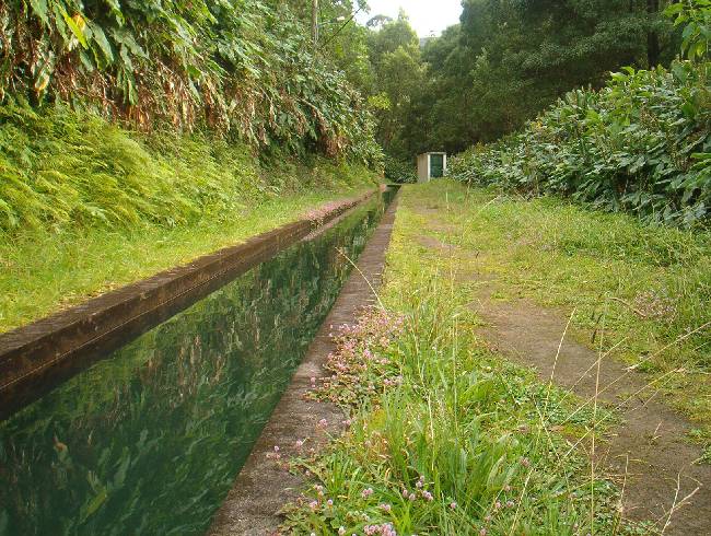 photo "Canal" tags: nature, 