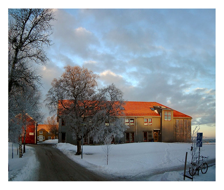 фото "Winter etude VII on Dragvoll" метки: пейзаж, зима