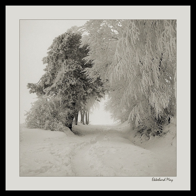 photo "passage" tags: landscape, winter