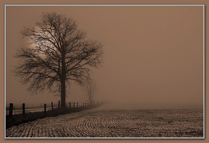 photo "Foggy morning..." tags: landscape, winter