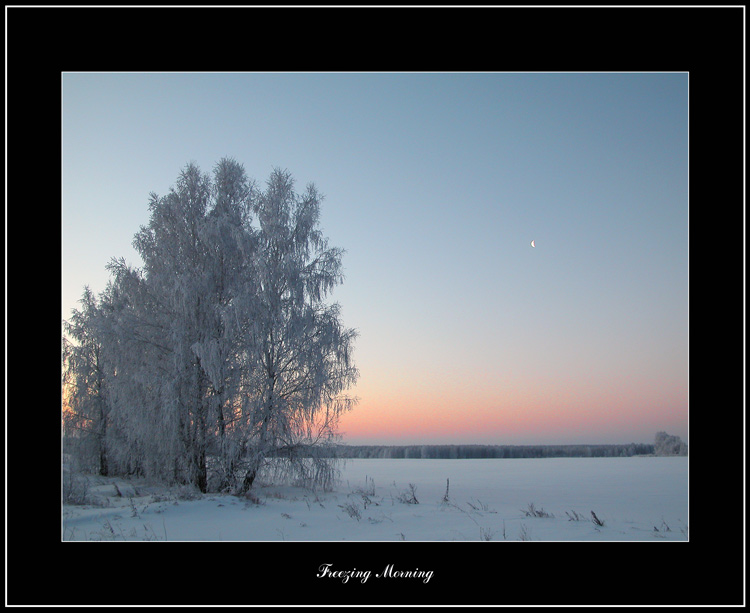 photo "Freezing Morning" tags: misc., landscape, winter