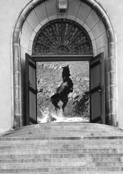 photo "The Door" tags: black&white, nature, wild animals