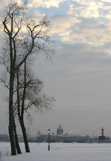 photo "When trees became big" tags: architecture, landscape, 