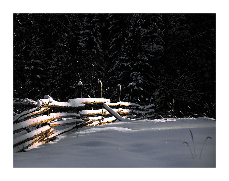 photo "Dream" tags: landscape, forest, winter
