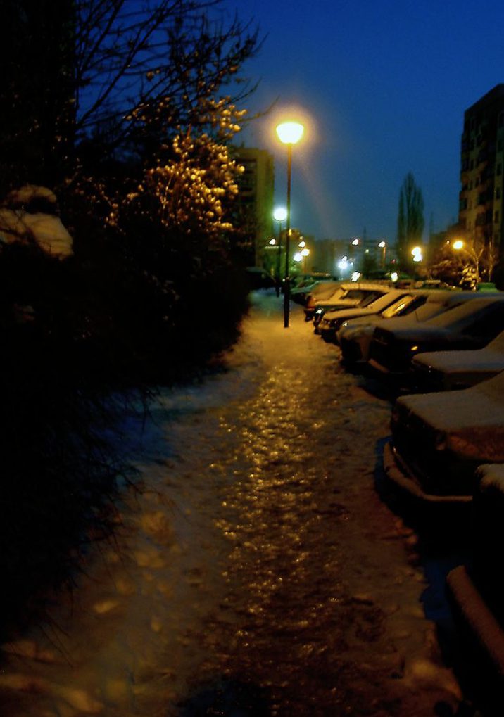 photo "winter3" tags: genre, nature, 
