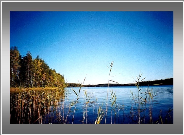 photo "Blue sky end water. Oreh lake" tags: landscape, autumn, water