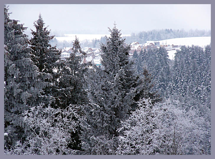 photo "Winter" tags: landscape, forest, winter