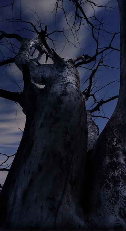 photo "The Blair Witch" tags: landscape, clouds, night