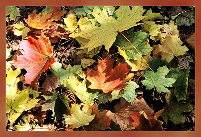 photo "Many-coloured grits..." tags: nature, landscape, autumn