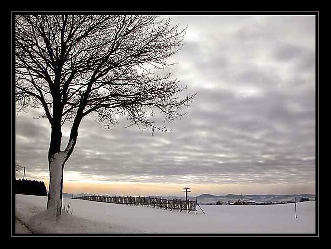 фото "Перламутровое утро" метки: пейзаж, зима, облака