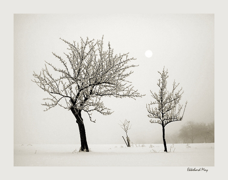 фото "dreaming about spring" метки: пейзаж, зима