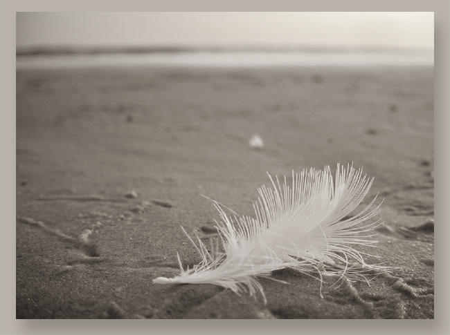 photo "vestige" tags: misc., 