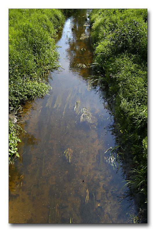 photo "Small river, clear water..." tags: landscape, water